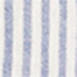 Blue/White
