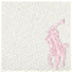 Paperwhite Canvas