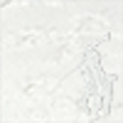 White Eyelet
