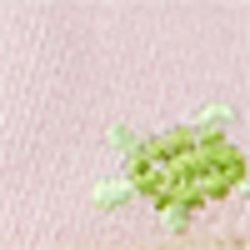 Light Pink Canvas