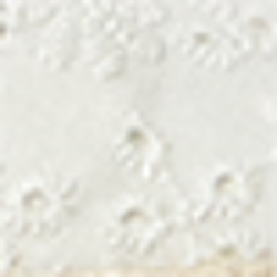 White Eyelet