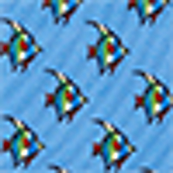 Lt Blue