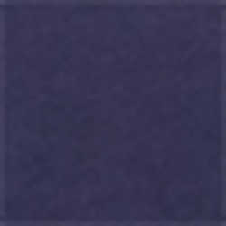 Cruise Navy