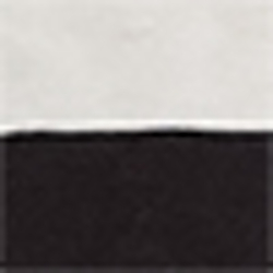 Polo Black/Deckwash White