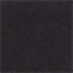 Polo Black