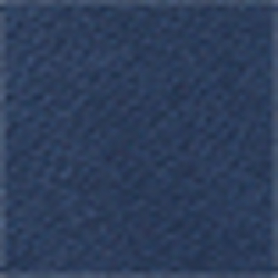 Summer Navy