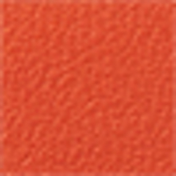 Burnt Orange