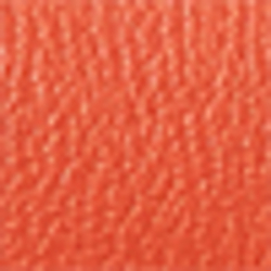 Burnt Orange