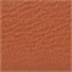 Lauren Tan/Orange