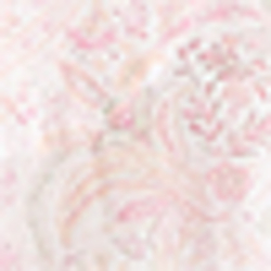 Pink Paisley