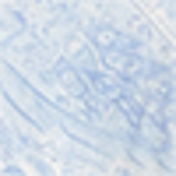 Blue Pailsey
