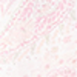 Pink Paisley