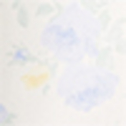 Ivory/Blue Floral