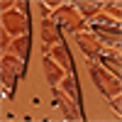 Field Brown