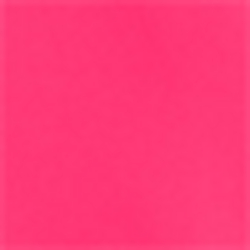 Pink Poppy