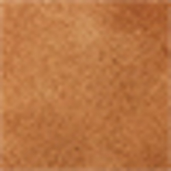 New Pale Russet