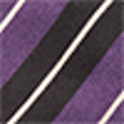 Black/Purple
