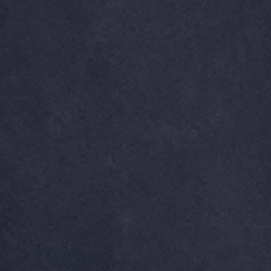 Adirondack Navy