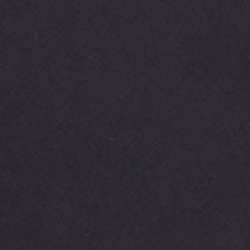 Adirondack Navy