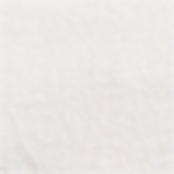 Surplus White