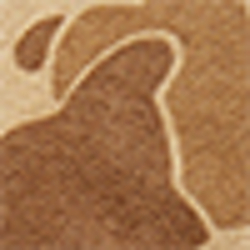 Brown/Tan