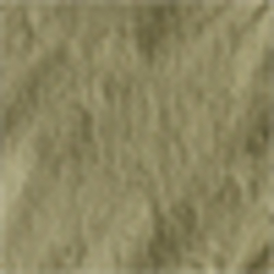 Historic Olive
