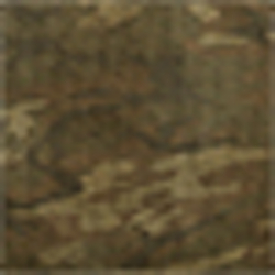 Olive Multi
