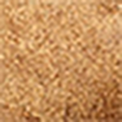 Light Java 002