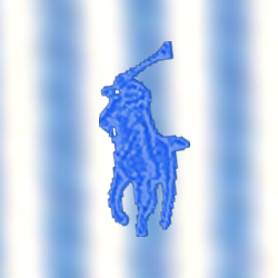 Blue/White