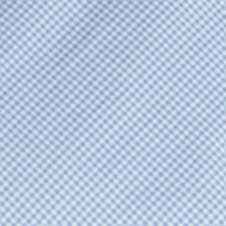Mini Blue/White