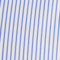 Dodger Blue/White