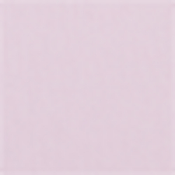 Pink/White