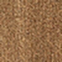 Brown And Tan