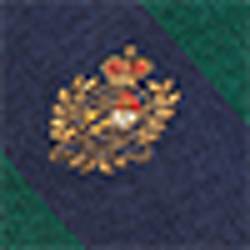 Green/Navy