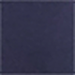 Cruise Navy