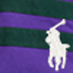 Chalet Purple Multi