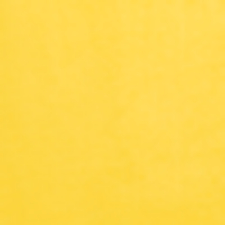 Racing Yellow