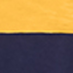 Cruise Navy/ Gold Bugle