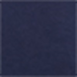 Cruise Navy