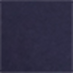 Cruise Navy