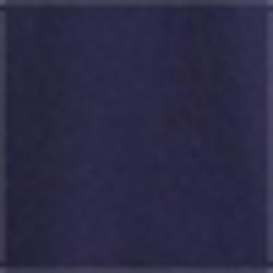 French Navy