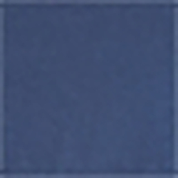 Spring Navy