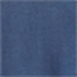 Spring Navy