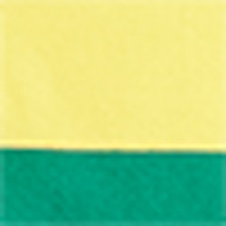 Racing Yellow Multi