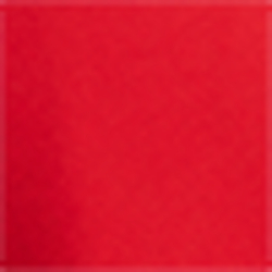 Polo Sport Red Multi