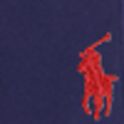 French Navy