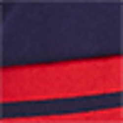 French Navy