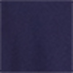French Navy