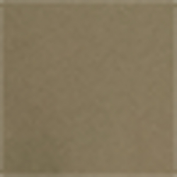 Expedition Olive