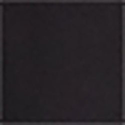 Polo Black